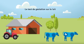 test gestation lait