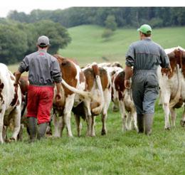 analyses lait bretagne